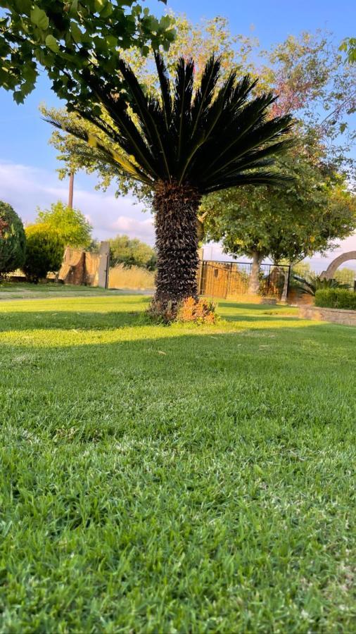 Mama'S Sunshine Garden Villa Agios Ilias  Dış mekan fotoğraf