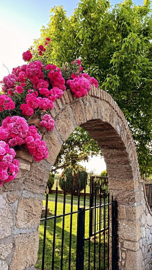 Mama'S Sunshine Garden Villa Agios Ilias  Dış mekan fotoğraf