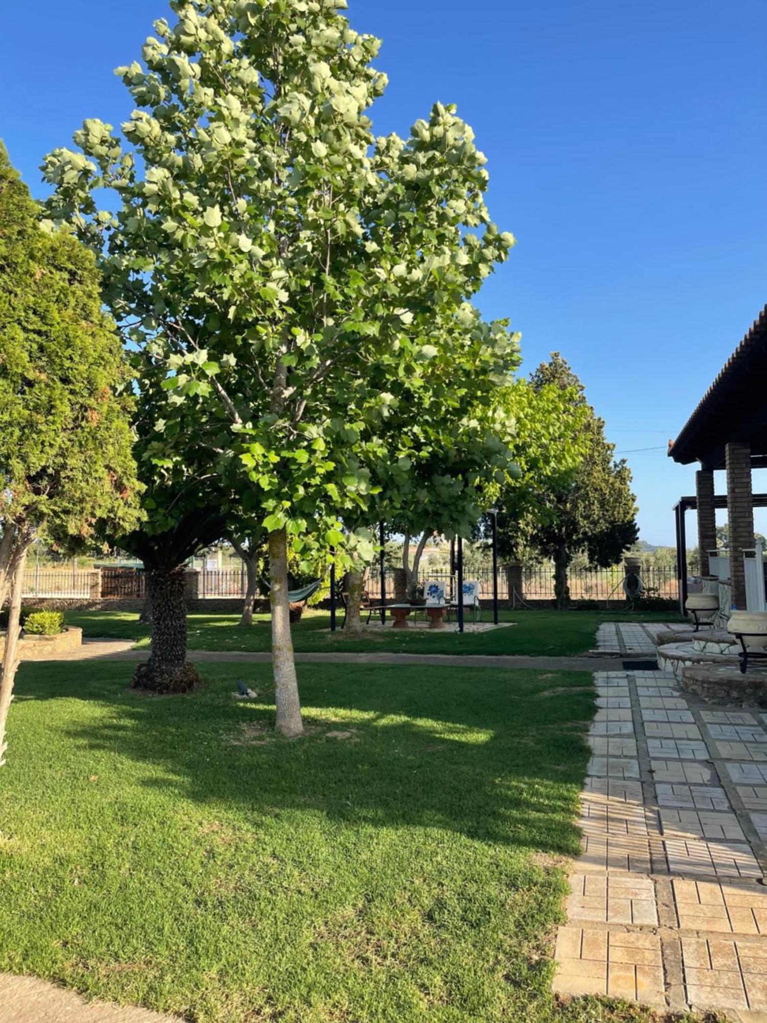 Mama'S Sunshine Garden Villa Agios Ilias  Dış mekan fotoğraf